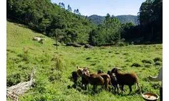 Imagem 5: Pedra Azul - 305 mil m2