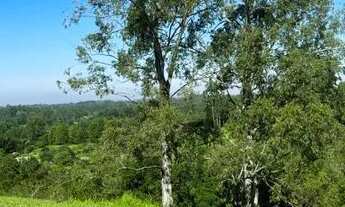 Imagem 5: Fazenda/Sítio/Chácara para venda tem 4300 metros quadrados em Itacolomi - Gravataí - RS