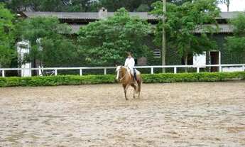 Imagem 5: Vendo chácara 5 ha em Osório