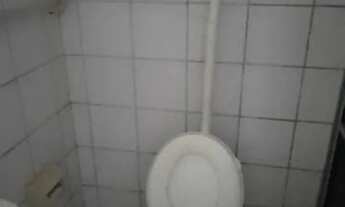 Imagem 2: Cajueiro térreo