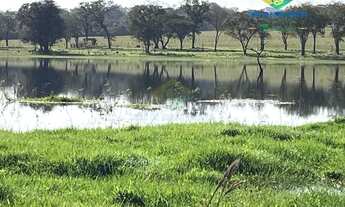 Imagem 2: APARECIDA DO TABOADO - RURAL - Área Rural de Aparecida do Taboado MS