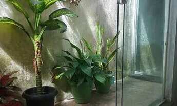 Imagem 3: Vendo Casa na Cidade Olimpica