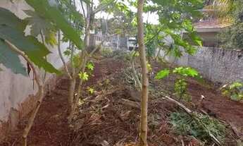 Imagem 4: Terreno jardim olímpico