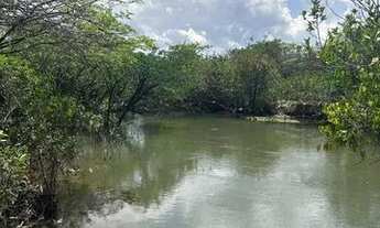 Imagem: Lotes de Chácara no água boa