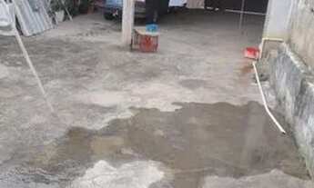 Imagem 3: Casa grande e Barata