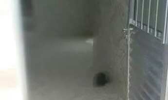 Imagem 7: Casa p/ Alugar Nova Descoberta