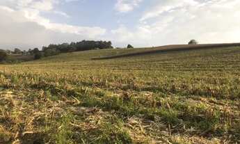 Imagem 5: Terreno de 500m² e rua sem saída e documentos em dia