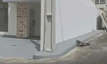 Imagem 2: Casa de vila para aluguel possui 90 metros quadrados com 3 quartos