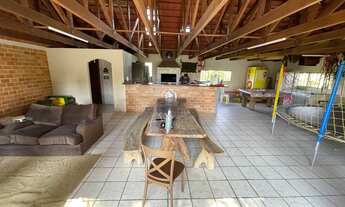 Imagem 2: Chácara alto padrão , plantação de 6 mil pés de pinos !