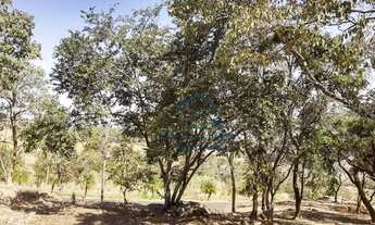 Imagem 4: Terreno à venda Duas Marias - Jaguariúna