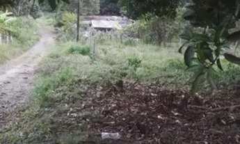 Imagem 2: Terreno Em Penedo