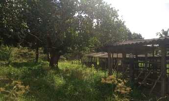 Imagem 5: VENDO PROPRIEDADE 15TAREFAS ESTÂNCIA/SE