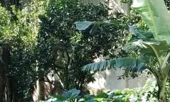 Imagem 3: Terreno para Venda em Nova Petrópolis, Juriti