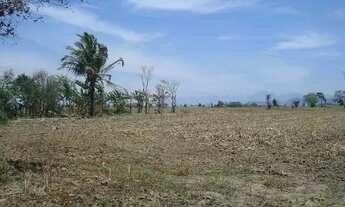 Imagem 6: ÁREA 31.000 M² ESTRADA DO CERAMISTA ARAÇÁ