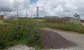 Imagem 4: Vendo terreno em estancia