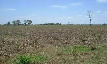 Imagem 2: ÁREA 31.000 M² ESTRADA DO CERAMISTA ARAÇÁ