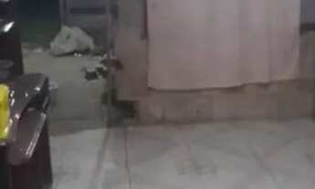 Imagem 2: Vende-se ou Aluga-se Casa 3 quartos e 1 banheiro