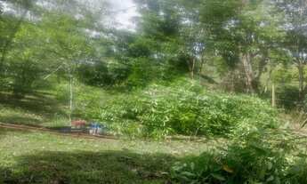 Imagem 3: Sítio perto de Jaboticatubas