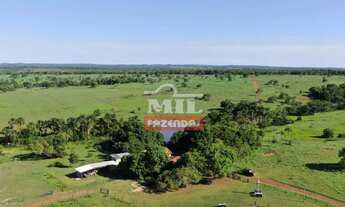 Imagem: Fazenda 75 alqueires (363 hectares) Mozarlândia