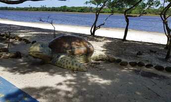 Imagem 3: GUARAJUBA 4 SUITES COND PARAISO DOS LAGOS COM PISCINA