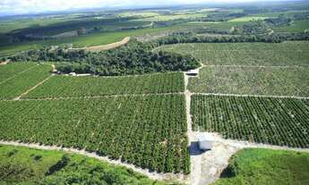 Imagem: Fazenda Rodovia Itabela