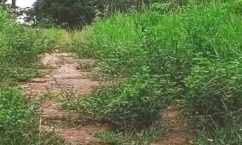 Imagem 3: Imóvel para venda possui 1050 metros quadrados em Setor Central - Mundo Novo - GO