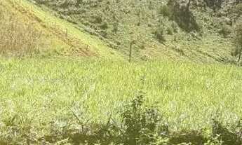 Imagem: Sítio Pedra Branca