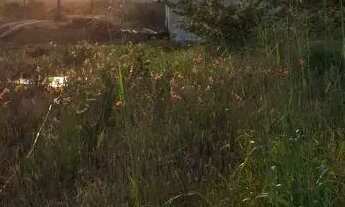 Imagem 3: Terreno frente de rua, no loteamento chacaras havana