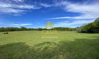 Imagem 3: Imóvel para venda com 56000 metros quadrados em Águas Claras - Viamão - RS