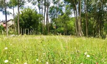 Imagem 4: Terreno para Venda em Nova Petrópolis, Juriti