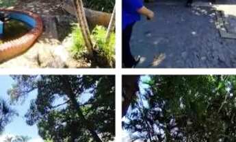 Imagem 6: Terreno de esquina comercial e galpao