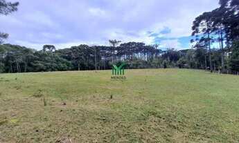 Imagem 2: TERRENO INDUSTRIAL ATTILO CITTON