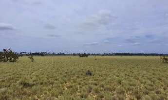 Imagem 3: Fazenda para arrendamento