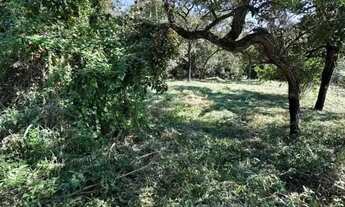 Imagem 4: Lote para Venda em Sarzedo, Vila Satelite