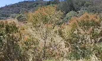 Imagem 2: Terrenos para venda possui 500 metros quadrados em Vila São Domingos - São Roque - SP