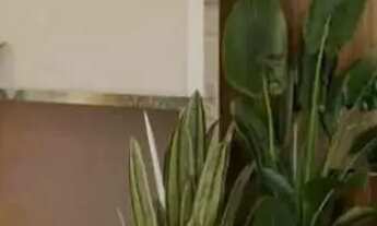 Imagem 6: 2qts na Várzea Minha Casa Minha Vida E Morar Bem Essa è Sua Oportunidade