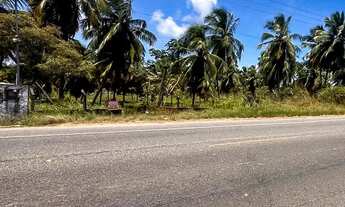 Imagem 2: Terreno Comercial na Barra dos Coqueiros 4.500m²