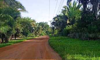 Imagem: Vendo terreno barato com doc ok, região