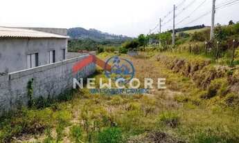 Imagem 7: Lote em Rodovia - Vista Alegre - Biritiba Mirim/SP