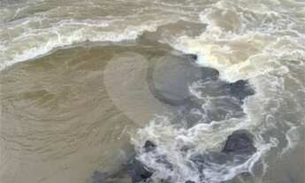 Imagem 6: Sítio à venda em Centro - SP