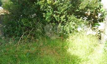 Imagem 5: Terreno à venda em Butantã, São Paulo - SP