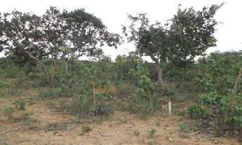 Imagem 2: 1000 metros na serra do cipó 37 mil Guilherme