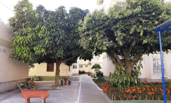 Imagem: Conjunto Abacateiros - Itapuã