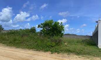 Imagem: Lote medindo 20x49, perfazendo 980m²