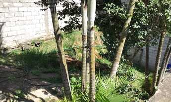 Imagem 7: Casa para venda possui 70 metros quadrados com 2 quartos