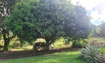 Imagem 6: Linda chácara 3.3ha, cercada, sobrado 140.00m², ótima localização, açude