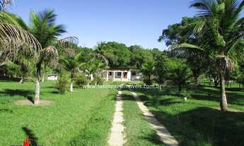 Imagem 2: Fabio Paes Imóveis - Sítio a venda com 5.000 m² todo plano