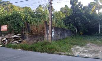 Imagem 6: Terreno com 853m² Plano Na Pista Entrada Conjunto Boas Novas, C. Nova, Manaus