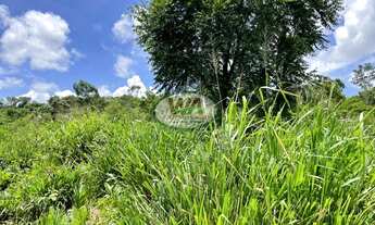 Imagem 6: Fazendinha a venda com excelente solo e preço atrativo