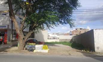 Imagem 2: Terreno, Universitário, Alugo